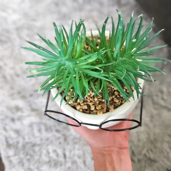 Fun Cermaic Faux Potted Plant - Picture 3 of 7